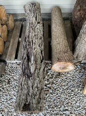 IMG_7136.jpeg