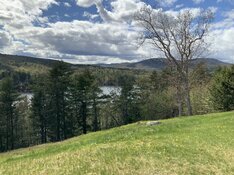 IMG_7137.jpeg