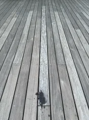 IMG_1506.jpeg