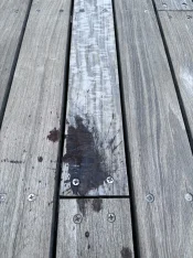 IMG_1505.jpeg