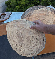 burl slab cut off2.jpg