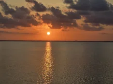 20240713_070054.webp