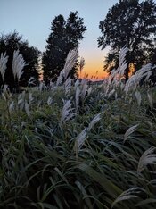 PXL_20240827_011222275.NIGHT.jpg
