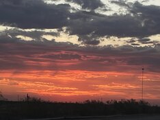 IMG_1331.jpeg
