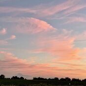 IMG_5865.jpeg