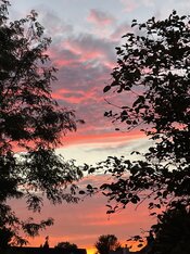IMG_5876.jpeg