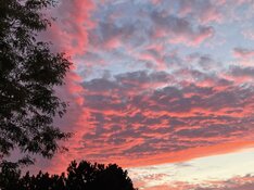 IMG_5872.jpeg