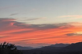 IMG_5905.jpeg