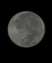 IMG_4022.jpeg