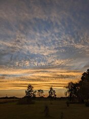 PXL_20240919_000848281.NIGHT.jpg