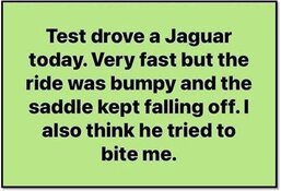 jaguar.jpg