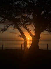 IMG_5225.jpeg