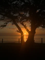 IMG_5225.jpeg