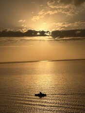 IMG_5227.jpeg