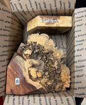 IMG_0555.jpeg