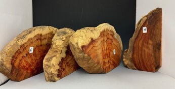 IMG_0577.jpg