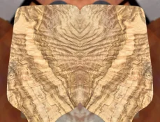Image.webp