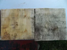 DSCN7335.webp