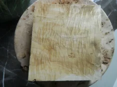 DSCN7338.webp