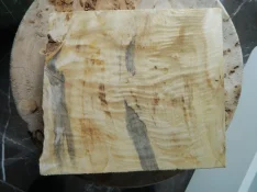 DSCN7339.webp