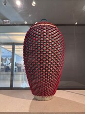 IMG_2772.jpeg