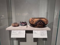 IMG_2776.jpeg