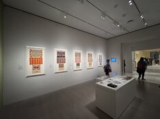 IMG_2620.jpeg