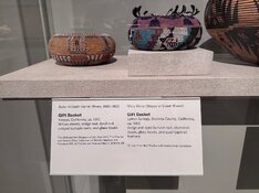 IMG_2781.jpeg