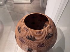 IMG_2975.jpeg