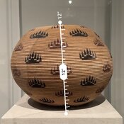 IMG_2977.jpeg