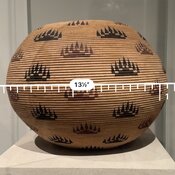 IMG_2978.jpeg
