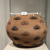 IMG_2980.jpeg
