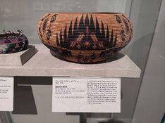 IMG_2981.jpeg