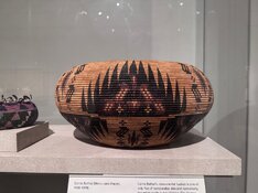 IMG_2987.jpeg