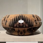 IMG_2990.jpeg
