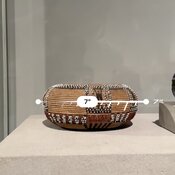 IMG_3076.jpeg