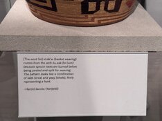 IMG_3091.jpeg