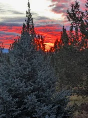 sunrise.webp