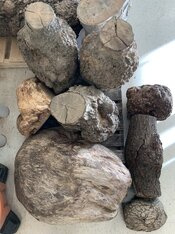 IMG_8267.jpeg