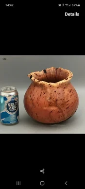 Screenshot_20210204-144202_Gallery.webp