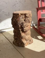 stump.webp