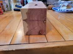 20250216_095602.jpg