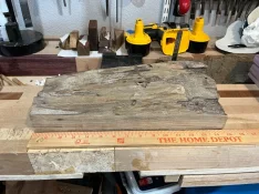 LA Sinker Cypress 3.webp