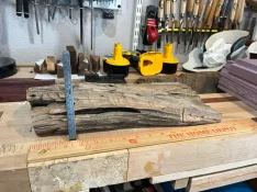 LA Sinker Cypress 1.webp