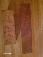 20250223_050916.jpg