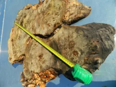 DSCN7572.webp
