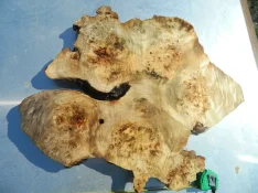 DSCN7576.webp