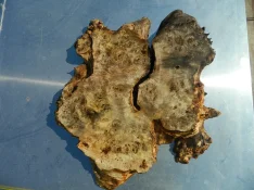 DSCN7577.webp