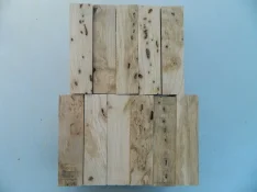 DSCN7589.webp
