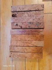 20250319_073127.jpg